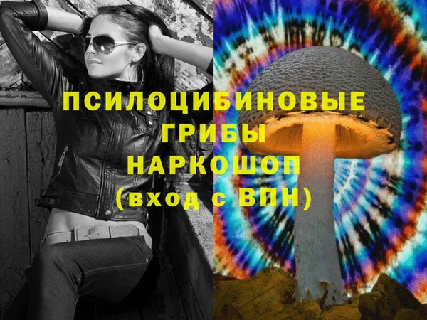 таблы Алексин